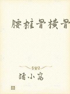 腰椎骨横骨骨折