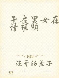 午夜男女在线激情视频