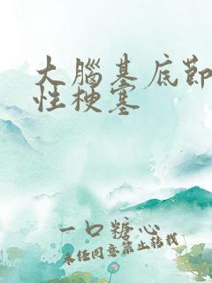 大脑基底节腔隙性梗塞