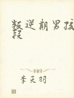 叛逆期男孩年龄段