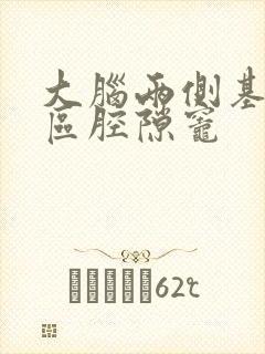 大脑两侧基底节区腔隙灶