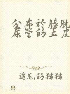 分布于膀胱和输尿管的上皮是