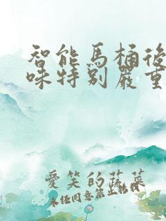 智能马桶后面反味特别严重怎么办啊