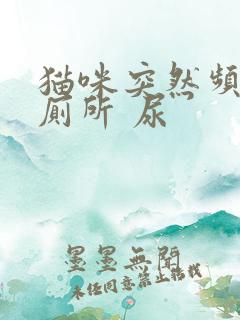 猫咪突然频繁上厕所 尿