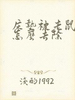 床垫被老鼠尿了怎么去除