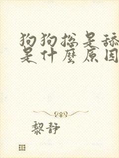 狗狗总是舔爪子是什么原因