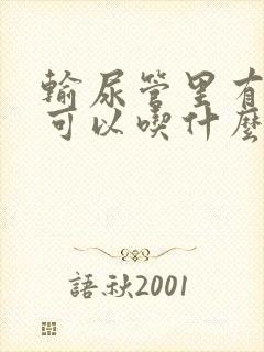 输尿管里有结石可以吃什么药排石