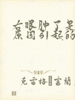 右眼肿了是什么原因引起的