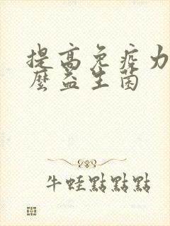 提高免疫力吃什么益生菌