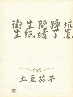 卫生间蹲坑被卫生纸堵了怎么办