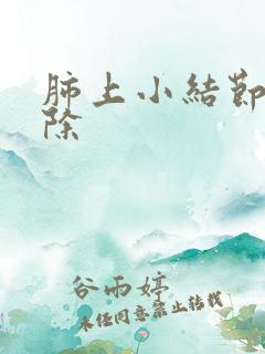 肺上小结节会消除