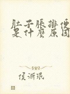 肚子胀排便困难是什么原因