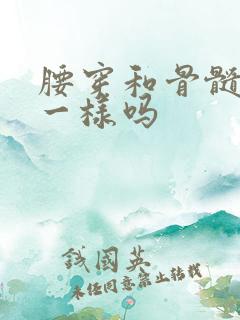 腰穿和骨髓穿刺一样吗