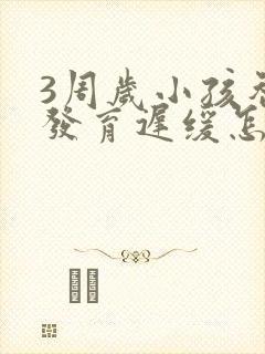 3周岁小孩智力发育迟缓怎么办