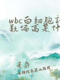 wbc白细胞计数偏高是什么原因