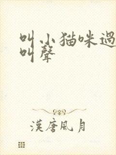 叫小猫咪过来的叫声