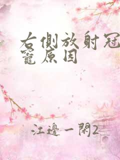 右侧放射冠缺血灶原因