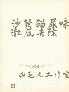 沙发猫尿味怎么彻底去除