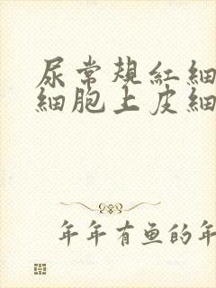 尿常规红细胞白细胞上皮细胞都高