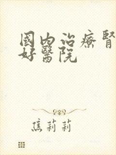 国内治疗肾病最好医院