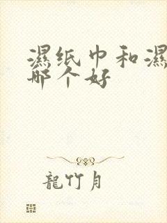 湿纸巾和湿厕纸哪个好