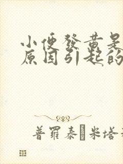 小便发黄是什么原因引起的