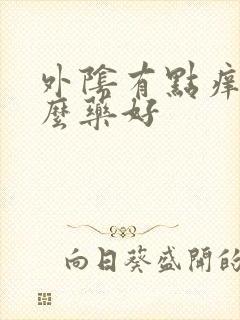 外阴有点痒用什么药好