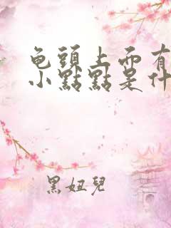 龟头上面有白色小点点是什么