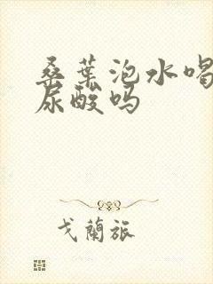 桑叶泡水喝能降尿酸吗