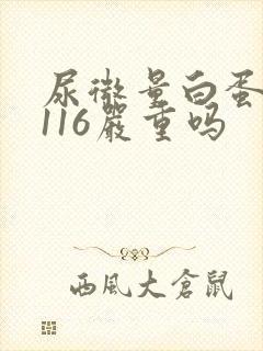 尿微量白蛋白高116严重吗