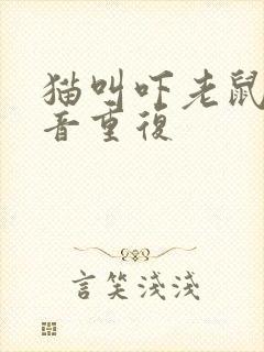 猫叫吓老鼠的声音重复