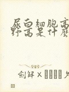 尿白细胞高倍视野高是什么原因