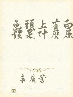 龟头上有白色液体是什么原因