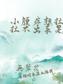 小腹疼想拉大便拉不出来是怎么回事