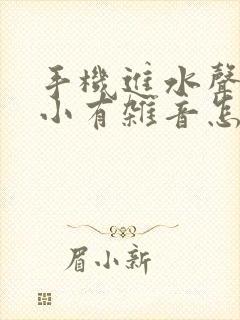 手机进水声音变小有杂音怎么办