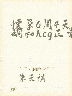 怀孕6周4天孕酮和hcg正常值是多少