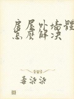 房屋外墙体渗水怎么解决