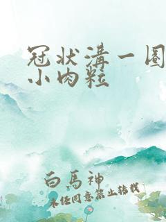 冠状沟一圈长了小肉粒