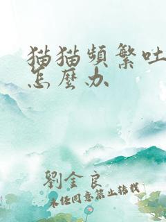 猫猫频繁吐黄水怎么办