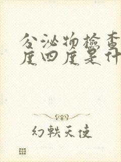 分泌物检查清洁度四度是什么