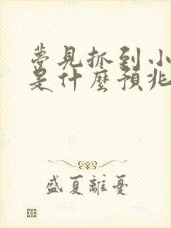 梦见抓到小兔子是什么预兆