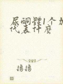 尿酮体1个加号代表什么