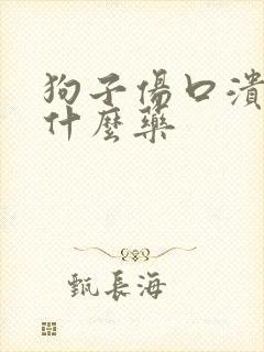 狗子伤口溃烂用什么药