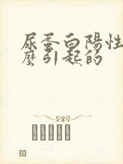 尿蛋白阳性是什么引起的