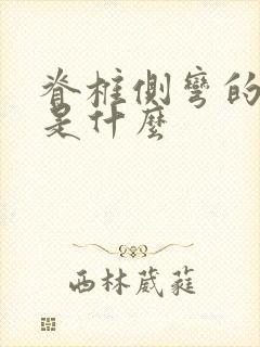 脊椎侧弯的症状是什么