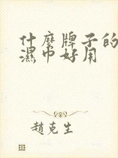 什么牌子的婴儿湿巾好用