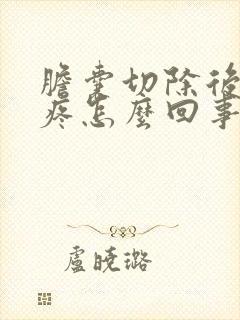 胆囊切除后后背疼怎么回事