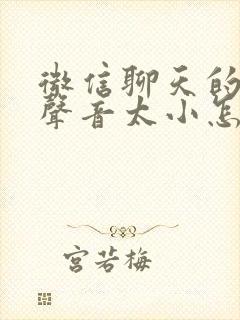 微信聊天的语音声音太小怎么调