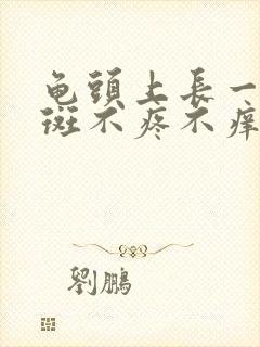 龟头上长一小红斑不疼不痒