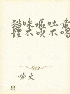 猫咪呕吐黄色液体不吃不喝